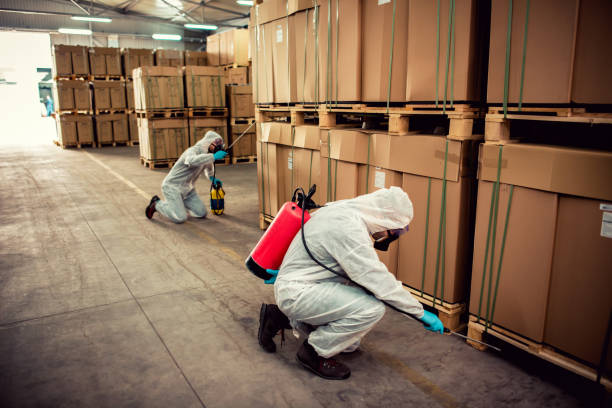 Best Residential Pest Control  in Ravenswood, WV