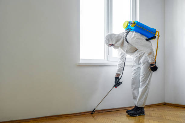 Best Commercial Pest Control Services  in Ravenswood, WV