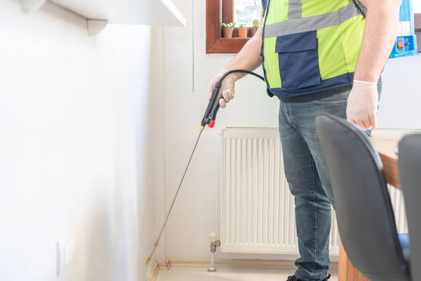 Flea Control Services in Ravenswood, WV