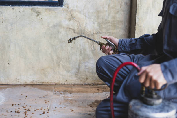 Best Best Pest Control Companies  in Ravenswood, WV